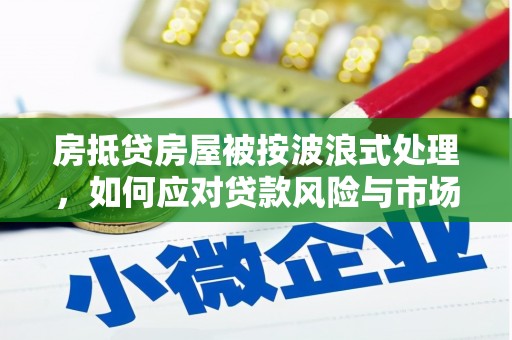 辽源房抵贷房屋被按波浪式处理，如何应对贷款风险与市场波动？